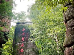 -汤旺河林海奇石景区
