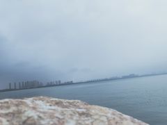 -西山樟坞健康果园枇杷杨梅采摘