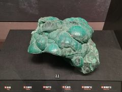 -盘龙城国家考古遗址公园