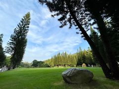 -深圳仙湖植物园