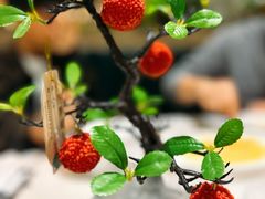 -椿记烧鹅(叠彩店)