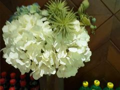 -泽云梵莲花足浴 按摩 SPA(滨湖店)