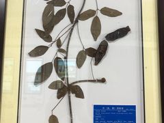 -杭州市萧山区中医院