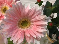 -花邻FloweringLife花艺气球派对(武康大楼店)
