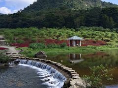 -广州市石门国家森林公园