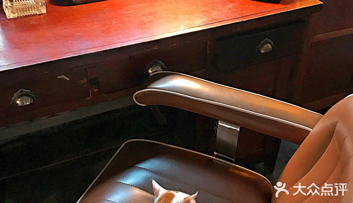 这家复古咖啡店🈶一羊千喜❗太可爱了🐏