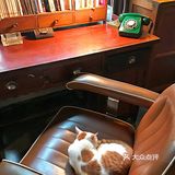 这家复古咖啡店🈶一羊千喜❗太可爱了🐏