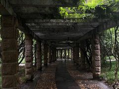 -采石矶景区