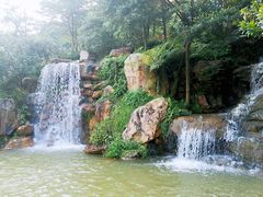 -广州市帽峰山景区