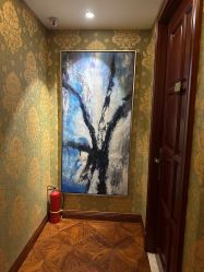 -水女人科技美肤·LDM·超清秀