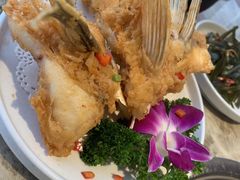 -淘米捞·米汤脆鲩鱼火锅(福田皇岗店)