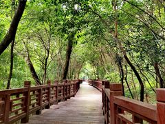 -紫金山山顶公园