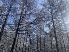 -秦岭风景区