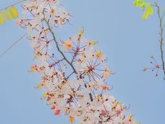 -白石龙音乐公园