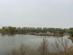 -东郊湿地公园