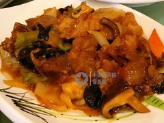 红烧蹄筋-清雅轩·清真菜·传统菜•融合菜(滑翔店)