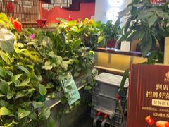 -洞庭家宴·头牌甲鱼(广渠门店)