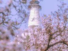 -北海公园