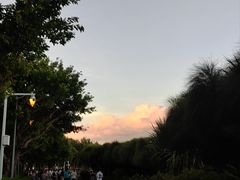 -深圳湾公园(南山区)
