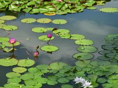 -国家植物园南园