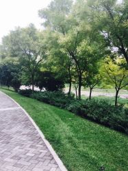 -大望京儿童游乐场