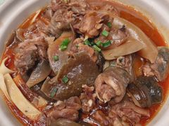 荆沙甲鱼150每斤-亢龙太子酒轩·花园店