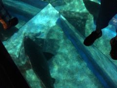 -暹罗海洋世界
