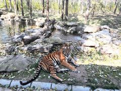 -北京野生动物园