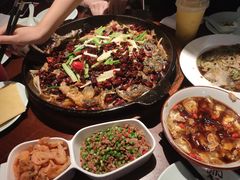 -老板恋上鱼(高新万达店)