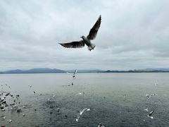 -深圳湾公园(南山区)