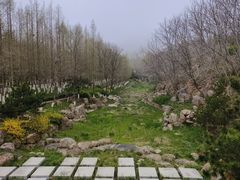-海合安青岛极地海洋公园