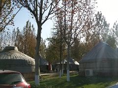 -九十九顶毡房(阜石路店)