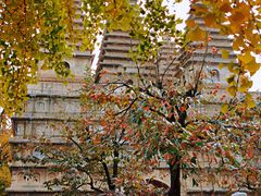 -北京石刻艺术博物馆(五塔寺)