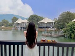 -帐篷客·溪龙茶谷度假酒店