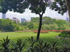 -深圳龙潭公园