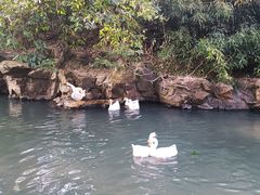 -兰亭风景区
