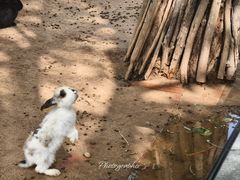 -鄂尔多斯野生动物园