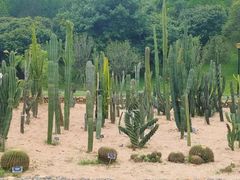 -东莞植物园