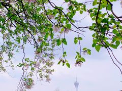 -红星桥(地铁站)