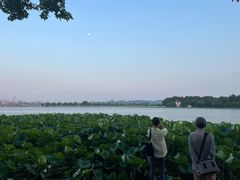 -西湖游船