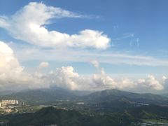 -瑞吉酒店·The Drawing Room闲逸廊·云端下午茶·夜奢Whiskey