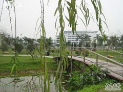 -顺德职业技术大学