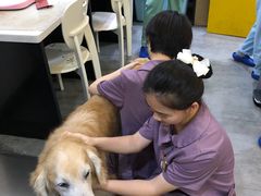 -严国平动物医院(德政总院)