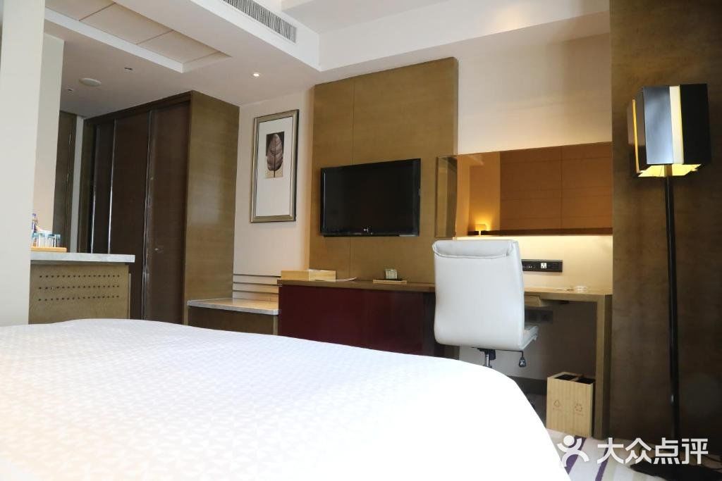 扬州绿地铂骊酒店图片