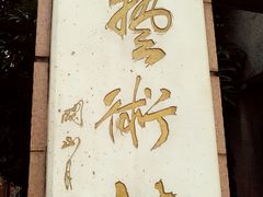 -小洲村