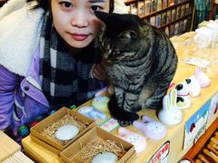 -猫的天空之城概念书店(西塘古镇店)