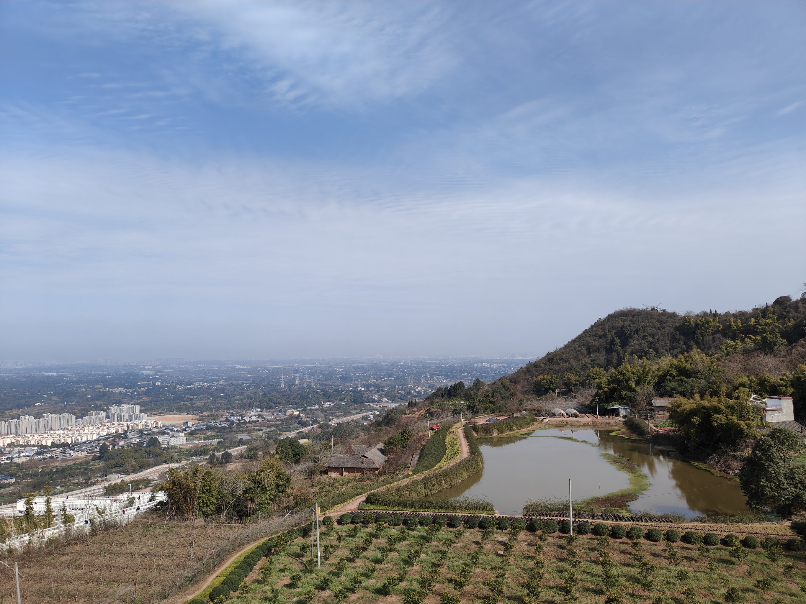 龙泉山观景平台图片