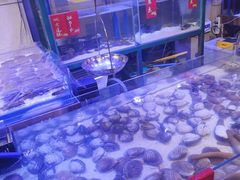 -十六蒲(桂林路店)