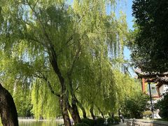 -莲湖公园