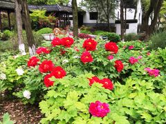 -狼山风景名胜区